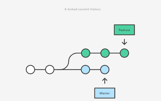 A forked commit history